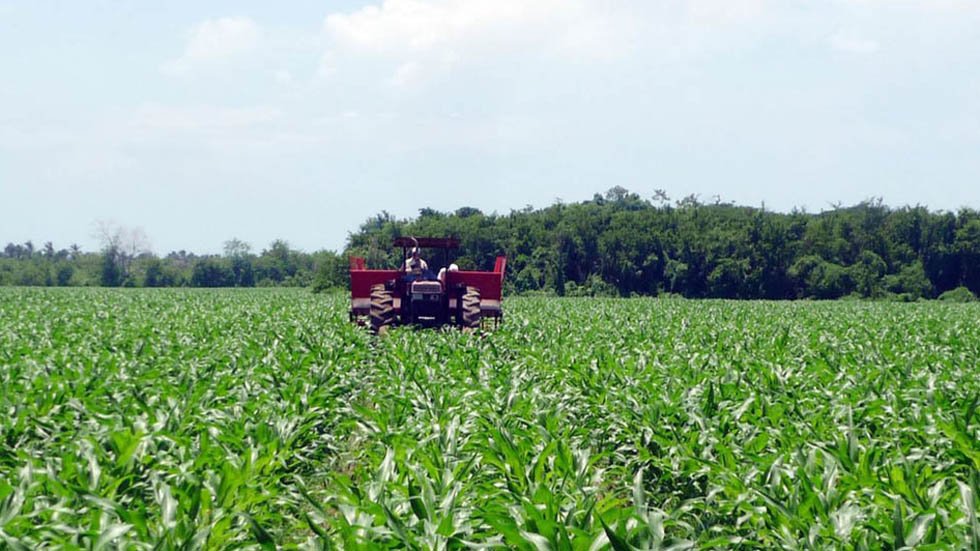 México registra un crecimiento del PIB del 1.5% en el segundo trimestre de 2026 impulsado por el sector agropecuario, industrial y de servicios